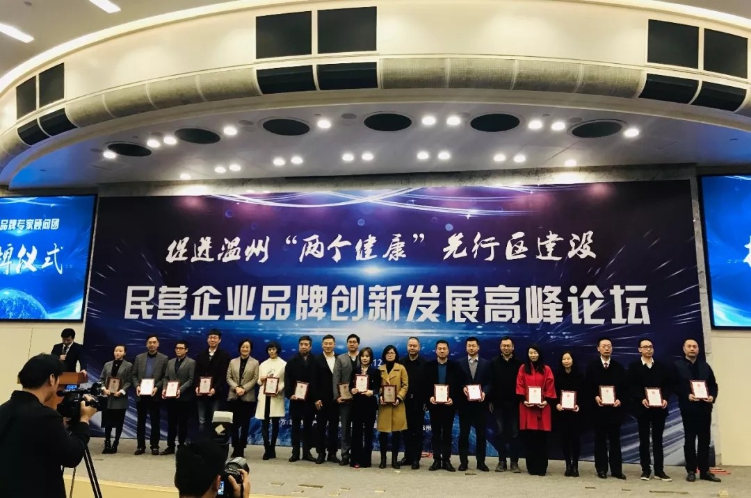 Wanhuida Attends Brand Innovation Summit In Wenzhou Events WANHUIDA 